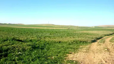 أرض في شمال شرق مطار الملكة علياء الدولي - 30,000 دأ - صورة NaN